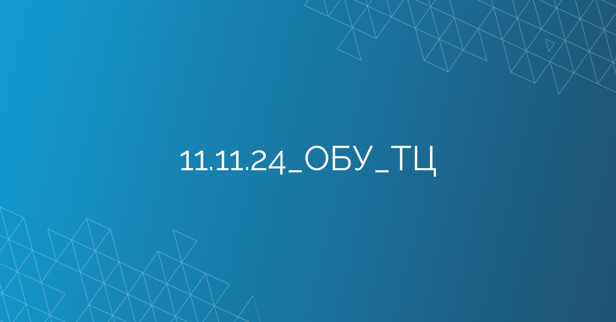 11.11.24_ОБУ_ТЦ
