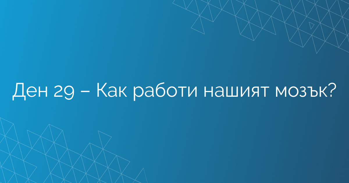Ден 29 – Как работи нашият мозък?
