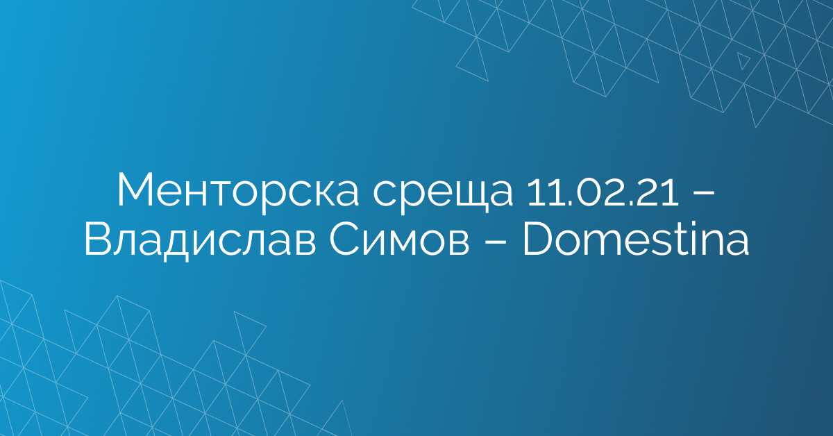 Менторска среща 11.02.21 – Владислав Симов – Domestina