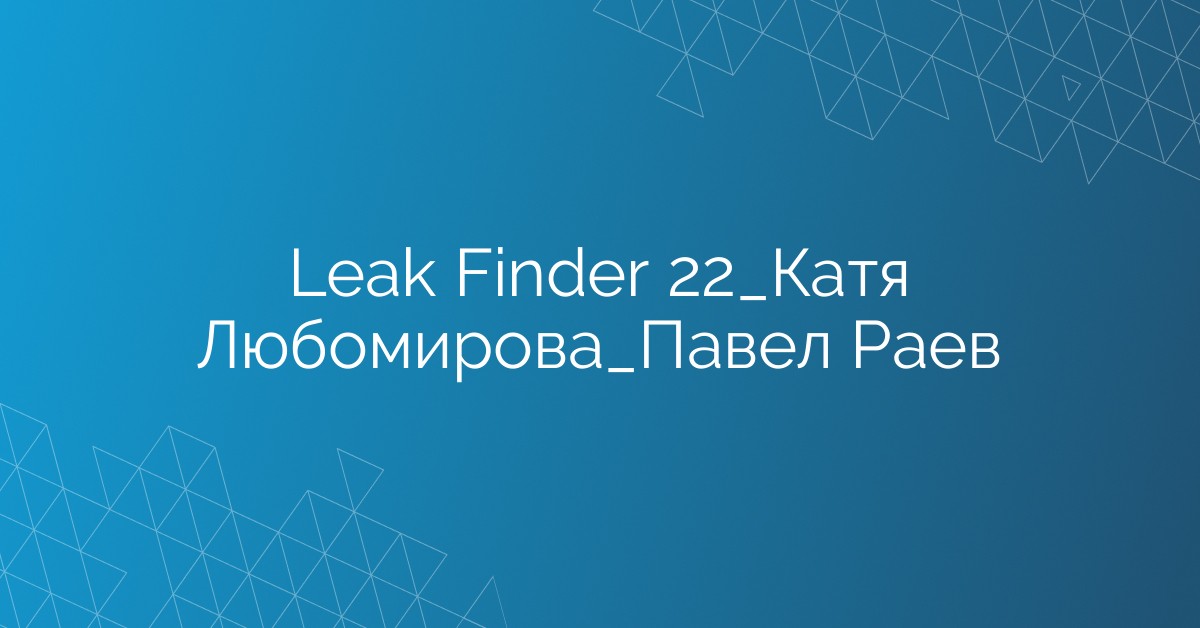 Leak Finder 22_Катя Любомирова_Павел Раев