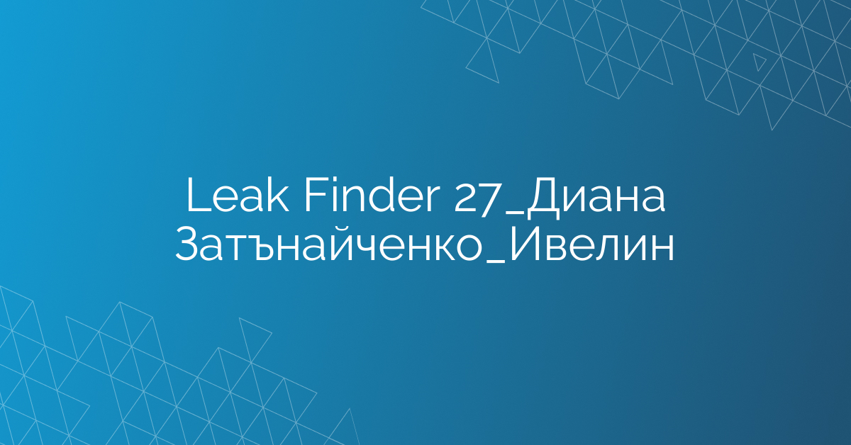 Leak Finder 27_Диана Затънайченко_Ивелин