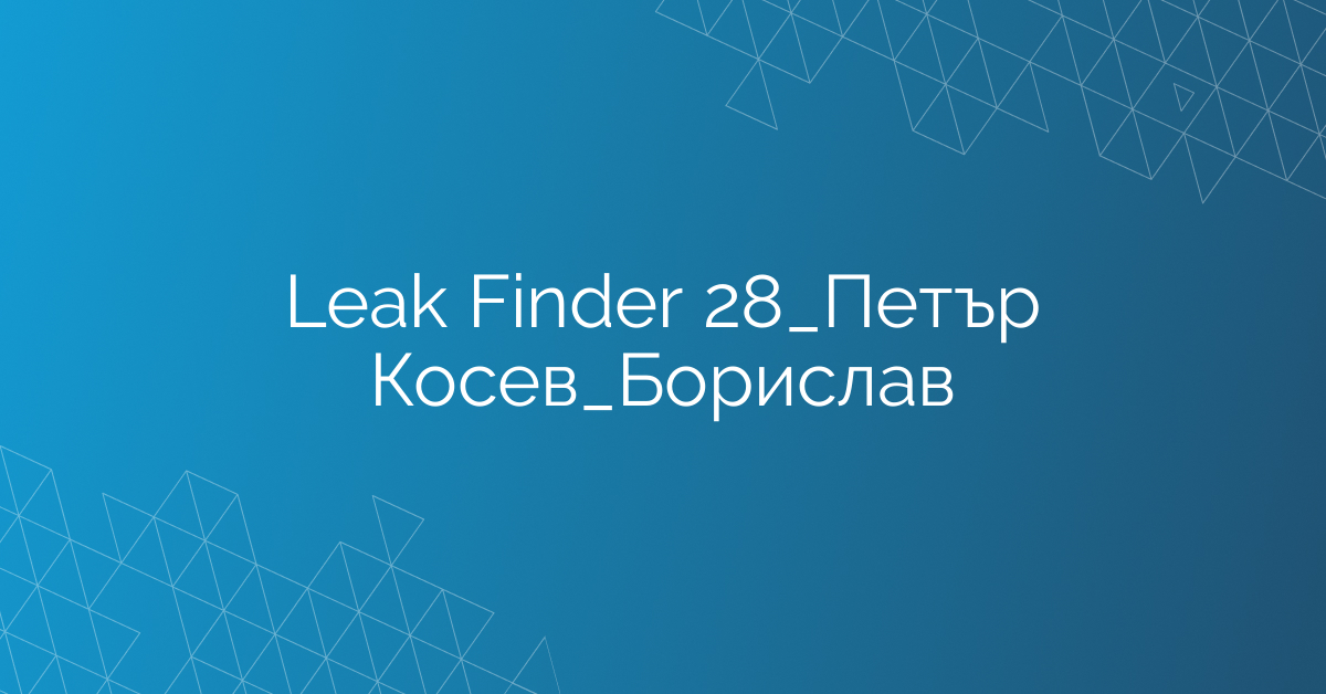 Leak Finder 28_Петър Косев_Борислав