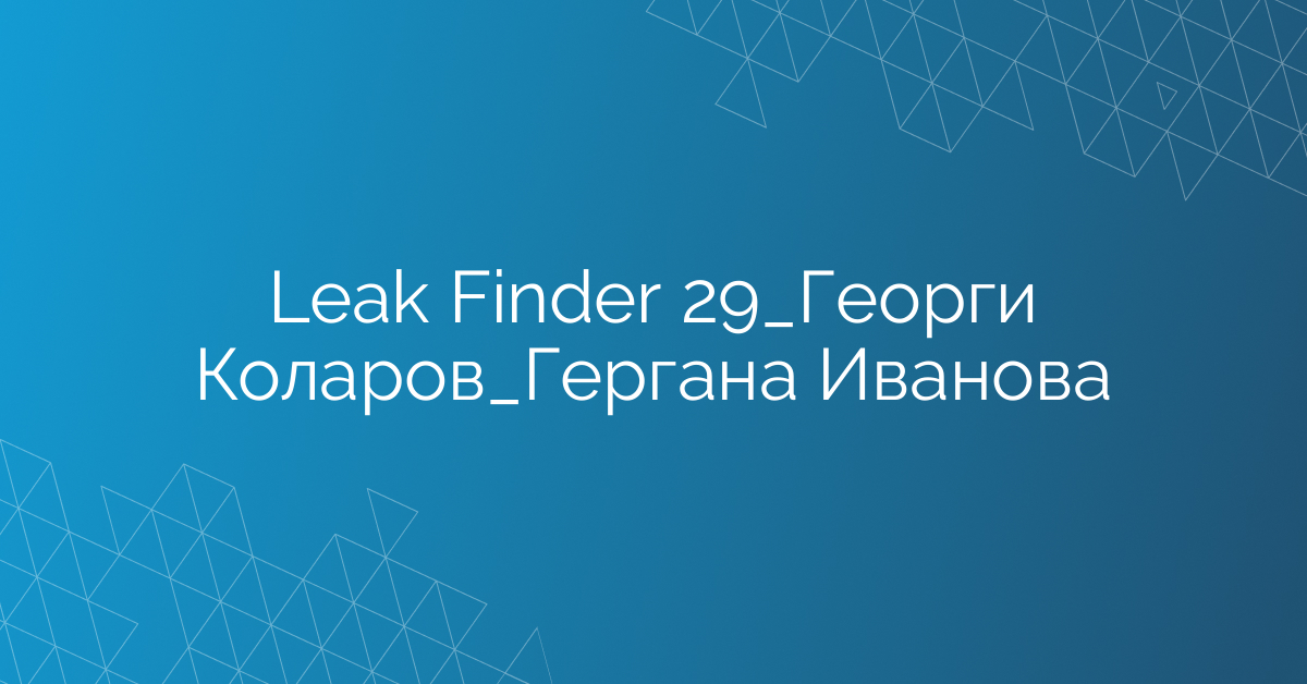 Leak Finder 29_Георги Коларов_Гергана Иванова