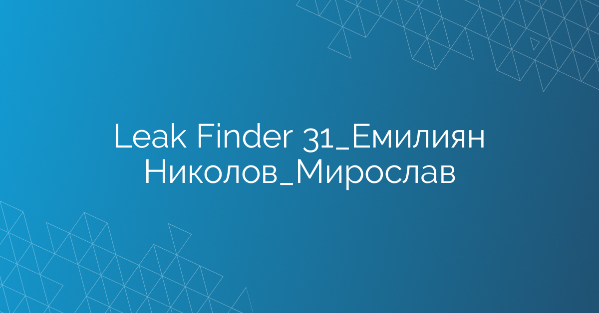 Leak Finder 31_Емилиян Николов_Мирослав