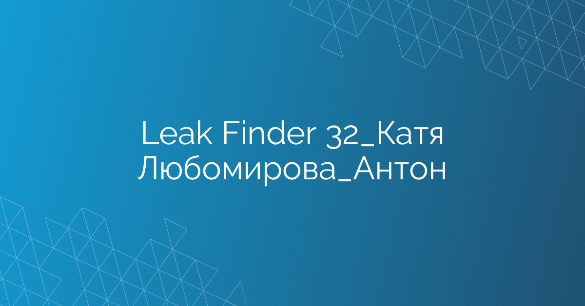 Leak Finder 32_Катя Любомирова_Антон