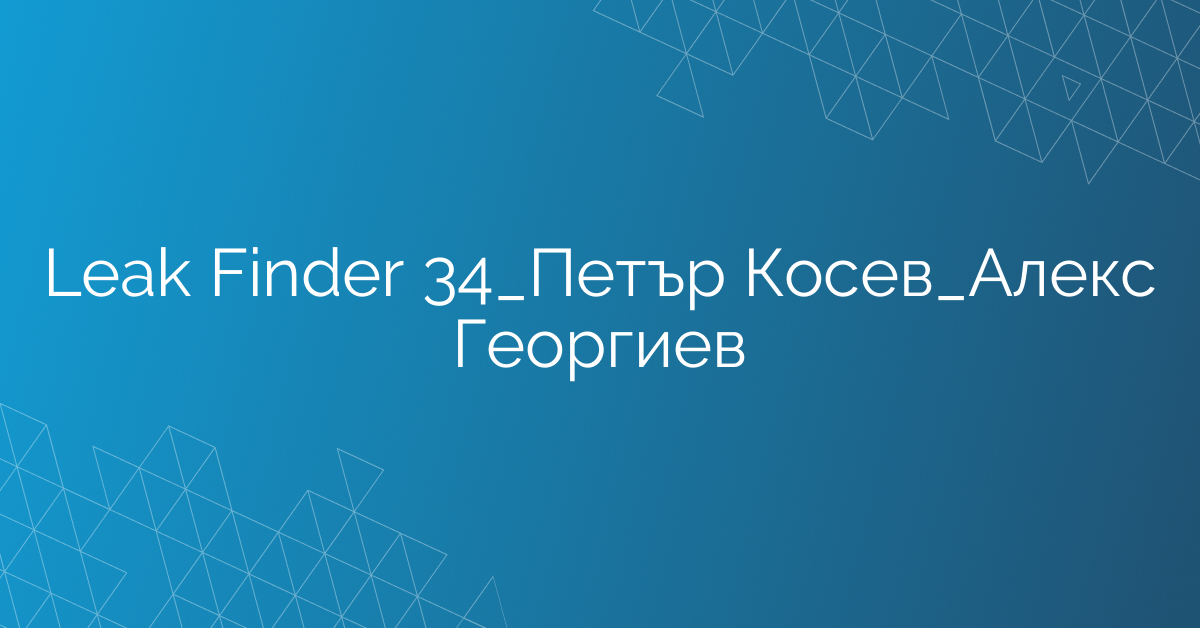 Leak Finder 34_Петър Косев_Алекс Георгиев