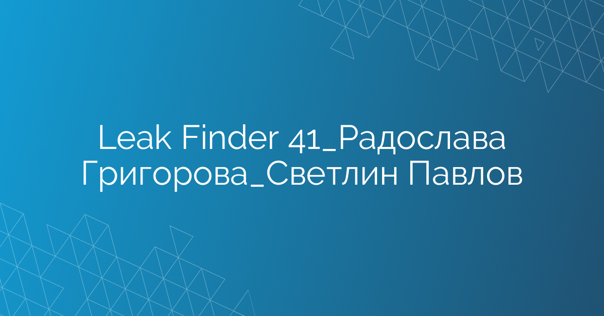 Leak Finder 41_Радослава Григорова_Светлин Павлов