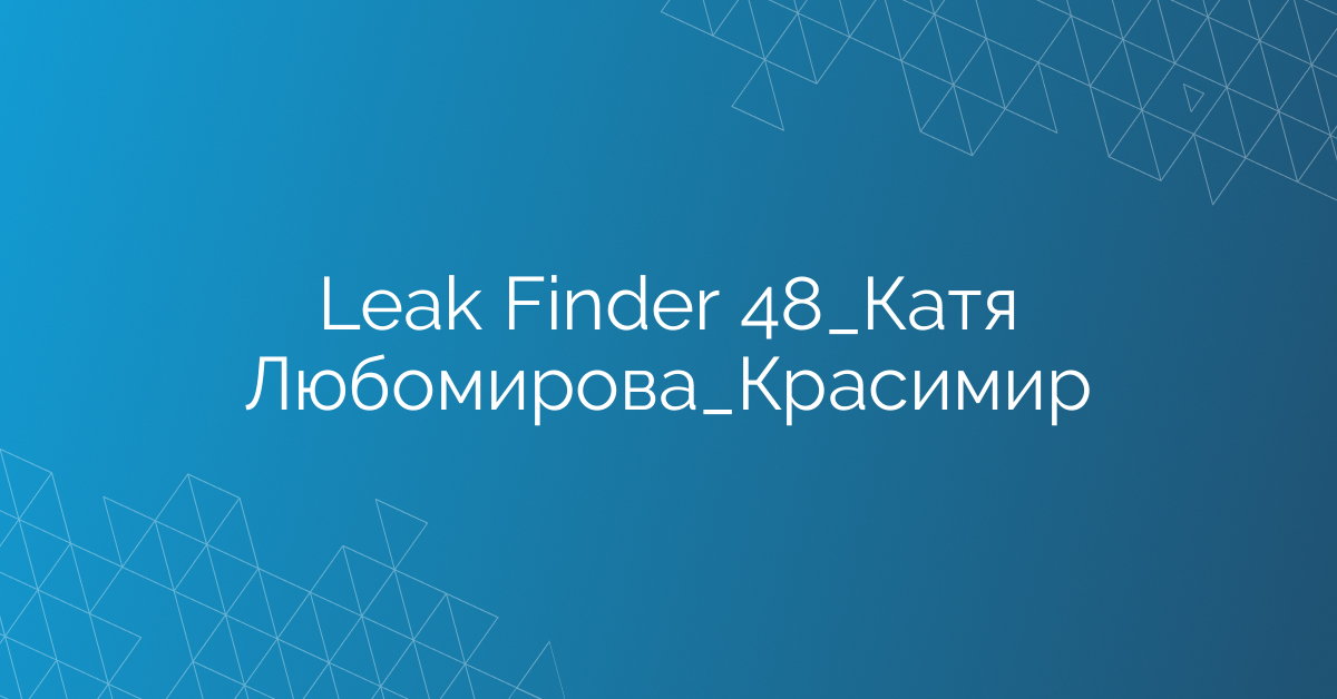 Leak Finder 48_Катя Любомирова_Красимир