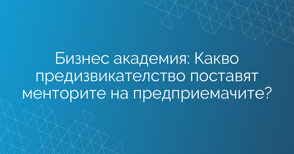 Бизнес академия: Какво предизвикателство поставят менторите на предприемачите?